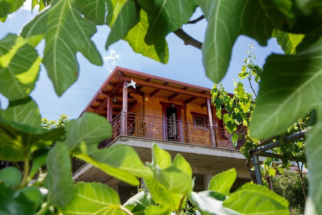 Wooden House In Ioannina Apartamento Exterior foto