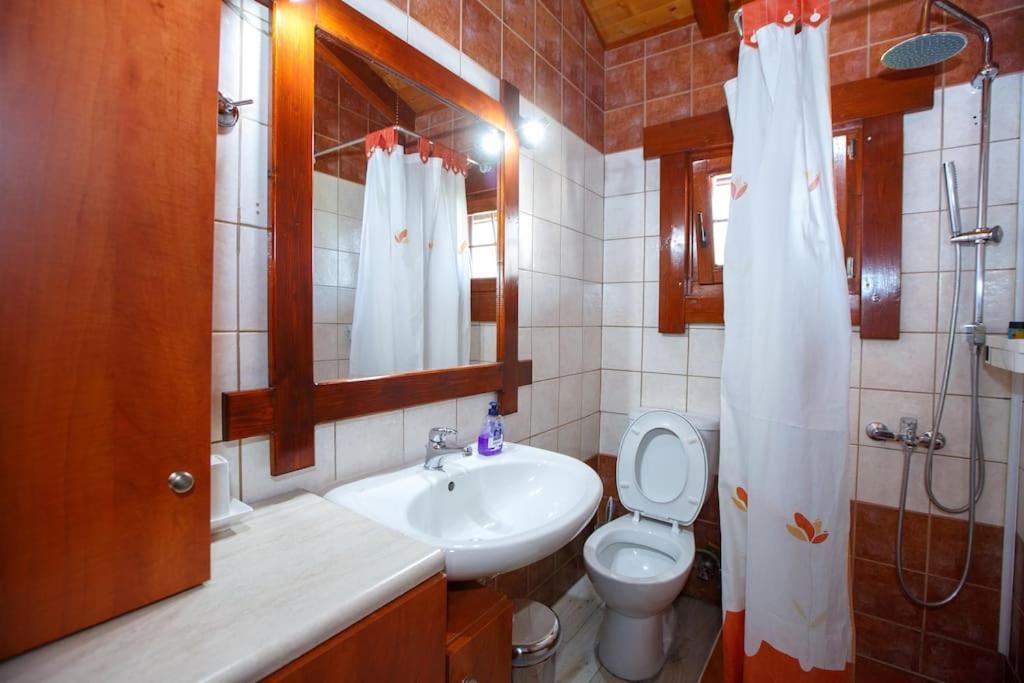 Wooden House In Ioannina Apartamento Exterior foto