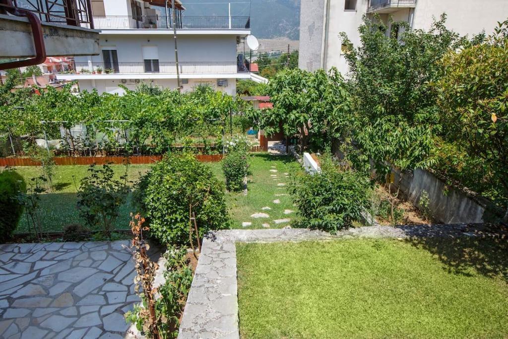 Wooden House In Ioannina Apartamento Exterior foto