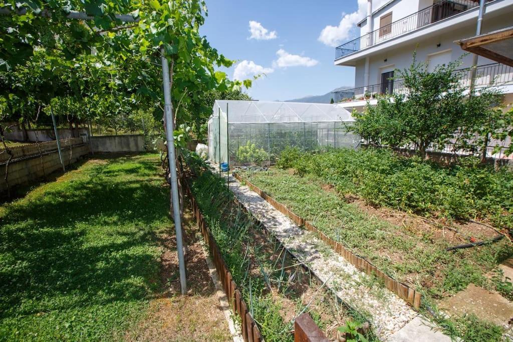 Wooden House In Ioannina Apartamento Exterior foto