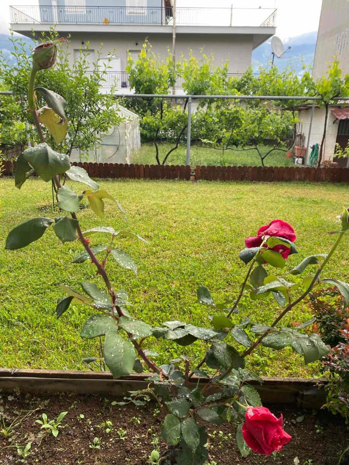 Wooden House In Ioannina Apartamento Exterior foto