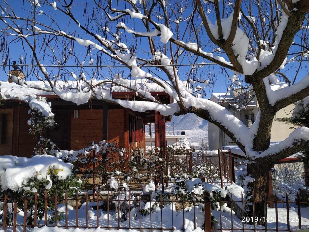 Wooden House In Ioannina Apartamento Exterior foto